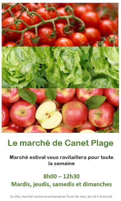 קאנט אן רוסיון Studio Cote Plage Tout Equipe Vue Sur Le Canigou מראה חיצוני תמונה
